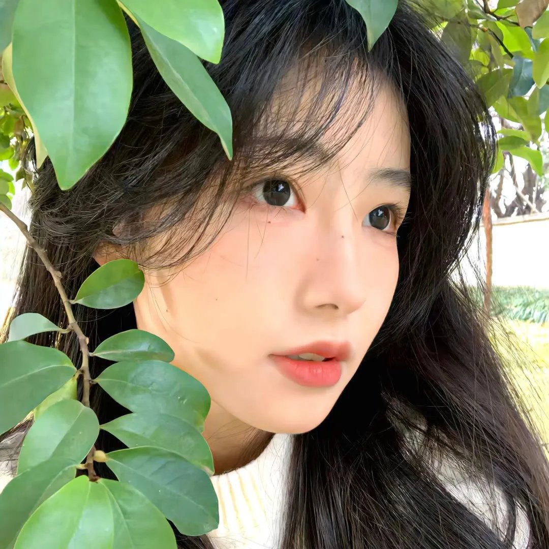 铁核桃