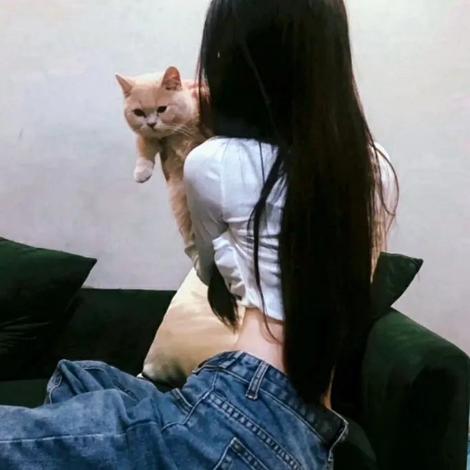 百万碎片
